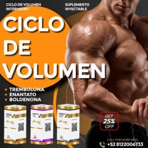 ciclo volumen intermedio tren testo y bolde